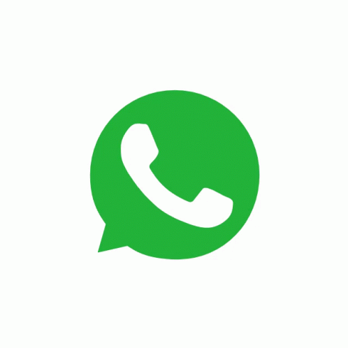 Chat with Pavitra Herbal on WhatsApp